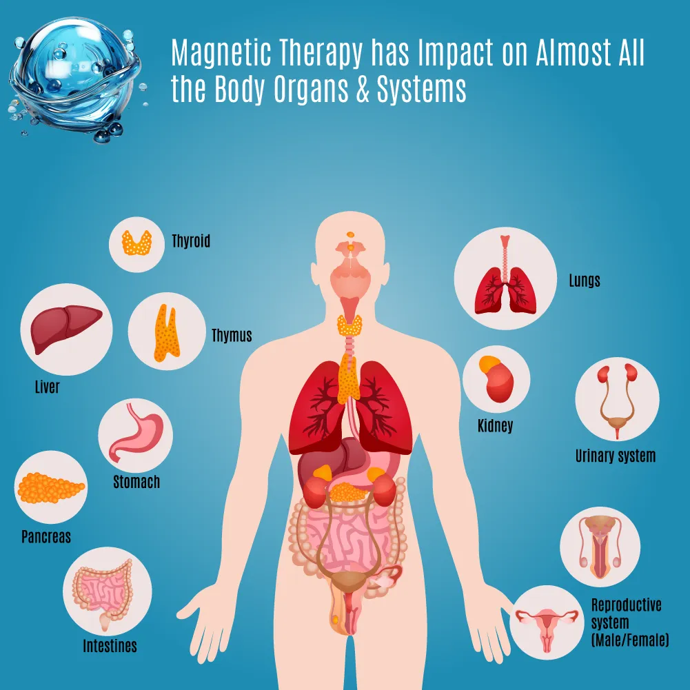 Magnetic Mattress